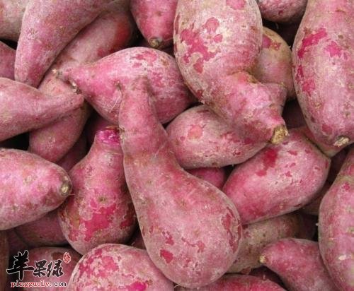 介绍一下大寒节气的养生攻略  第1张