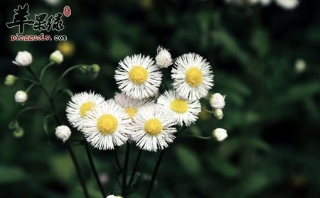 春季气温回升小心感冒 注意这些才健康  第4张