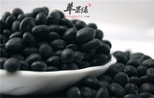 冬季要吃这些食物能有效补肾  第4张