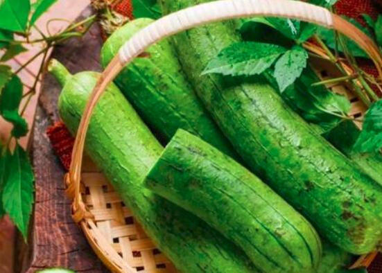 孕妇吃什么蔬菜败火  第4张