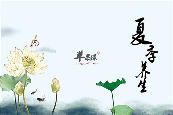 夏至时节的三个养生方法不能少  第3张