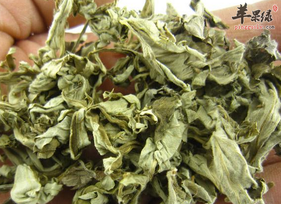 冬季用艾叶泡脚的好处有哪些  第4张