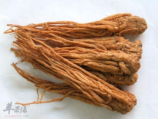 中药材也能养生 冬季就吃这些药物  第4张
