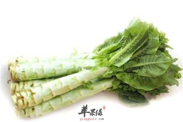 夏季清热去火祛湿消肿的食材  第4张