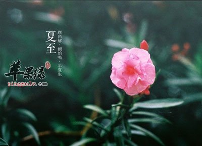 夏至养生由此做起  第1张