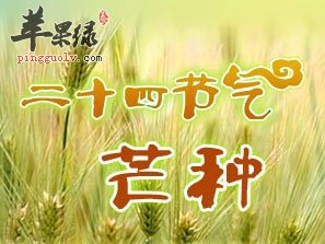 芒种节气调起居重运动  第1张