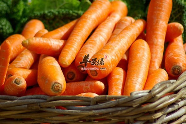 立冬寒冷要御寒 推荐饮食温补  第3张