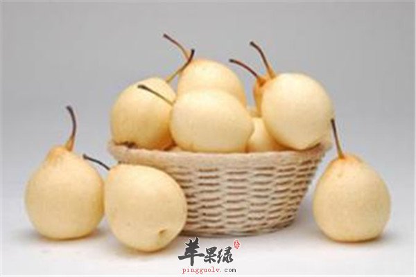 秋季滋阴润燥预防疾病的食材