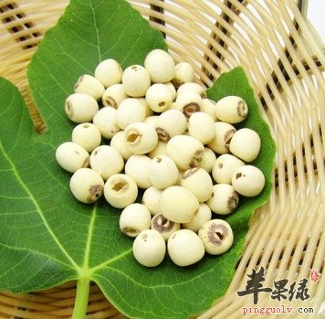 秋季怎么吃 这几类食物很不错  第4张