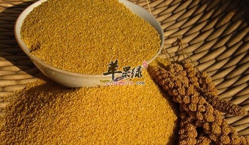 春季补肾吃什么 男女饮食不同  第1张