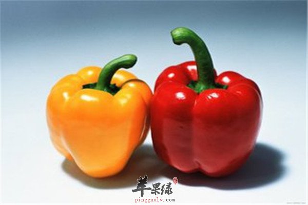 老年人吃什么 食物消化快的种类