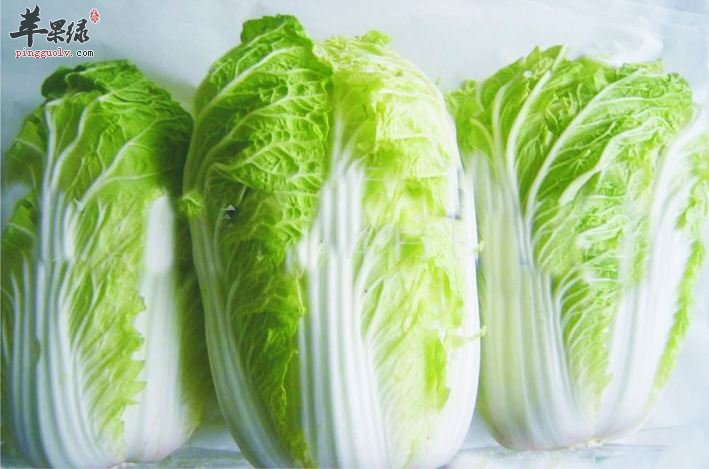 处暑饮食要清淡 多吃蔬菜更健康  第1张