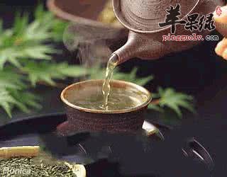 生活中有哪些戒烟茶呢  第4张