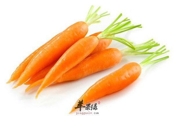冬季感冒不能少的三款防感冒食材  第2张