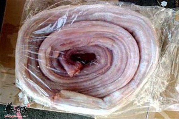 孕妇能吃蛇肉吗 要注意什么