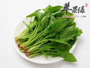 这些蔬菜更适合在处暑食用