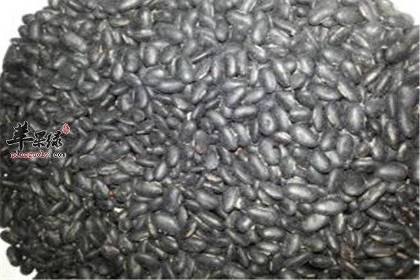 春天血液需要净化 常吃五谷绿茶好  第1张