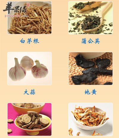 白露节气中药调养更滋补  第1张