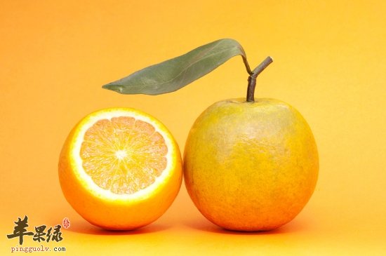 秋季干燥要养肺 推荐饮食润燥止咳  第1张