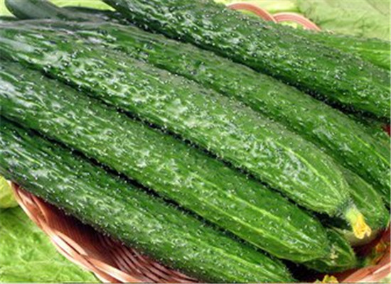 能降火的食物 夏季必备食材  第4张