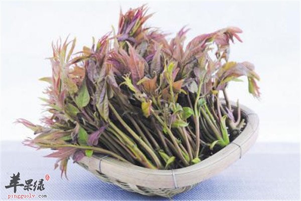 清明时节最适合的两种养生菜  第1张