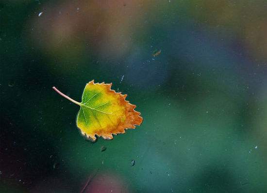 白露节气是什么时候  第1张