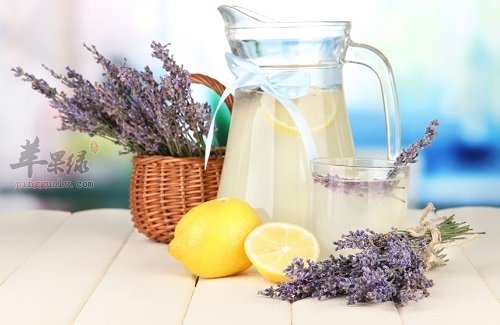 春季喝茶能养生 这些花茶很不错  第1张