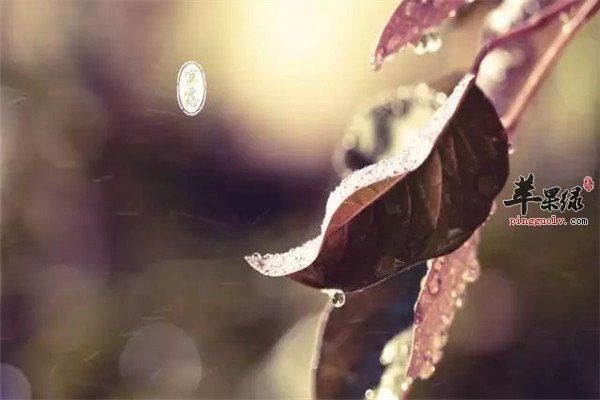 寒露容易着凉 三种疾病一定要预防  第2张