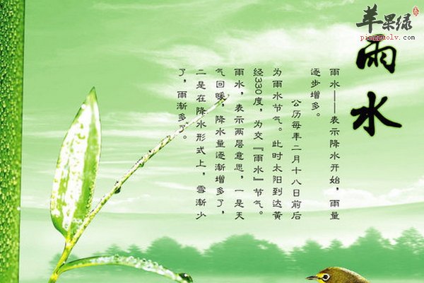 雨水节气养生首先要先养肝  第1张