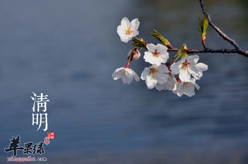 清明养生