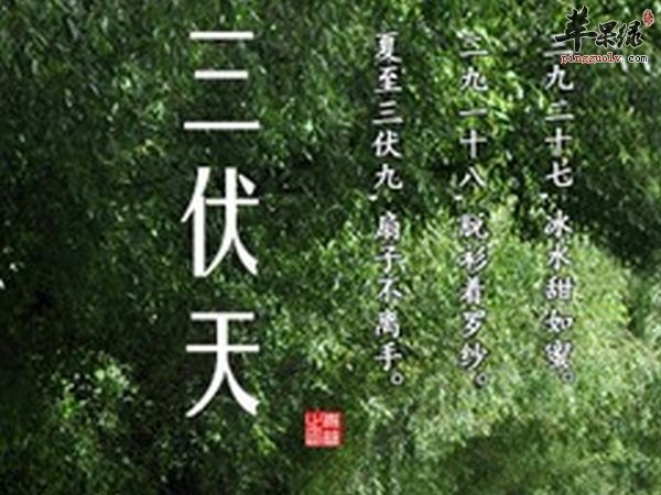 三伏天怎么养生 饮食 户外 睡眠  第1张