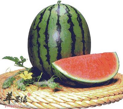 西瓜——夏令水果之王  第1张
