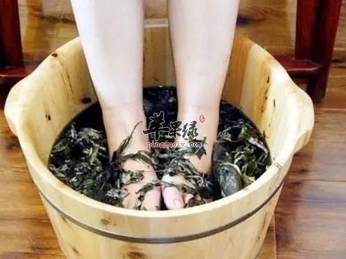 寒露时节养生防寒 教你几招很养生  第1张