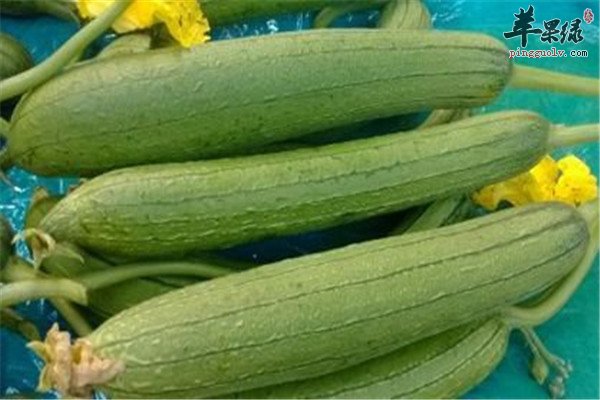 四种食物夏季解暑最好用  第1张