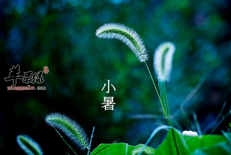 7月小暑正当时 我们应该如何养生  第3张