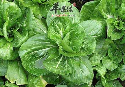 青少年吃什么对视力好  第2张