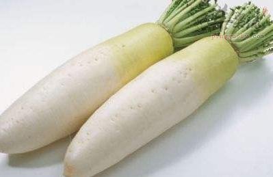 立春节气前后可以多吃萝卜  第4张