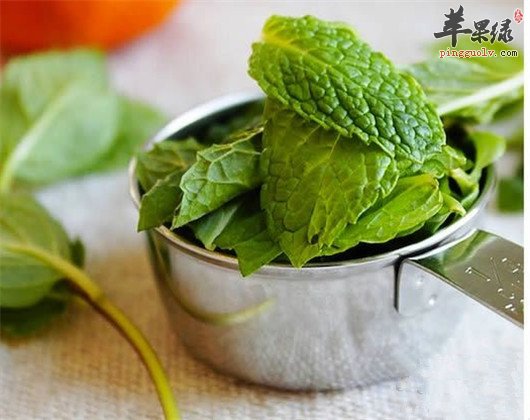 夏季养生要消暑 学会饮食很重要  第1张