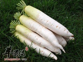 寒露节气的养生方法有哪些  第1张
