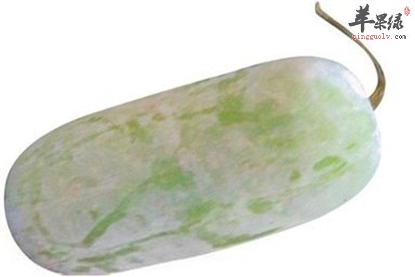 解暑去火的三种食物要常吃  第2张