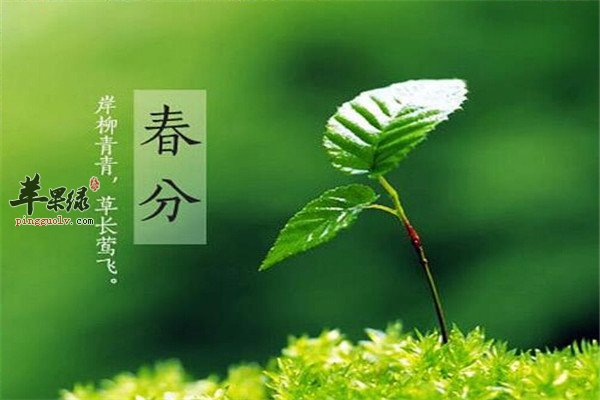 盘点春分的由来和习俗  第1张