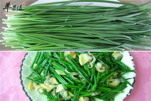春季保健不能少的食材 韭菜和菠菜  第1张
