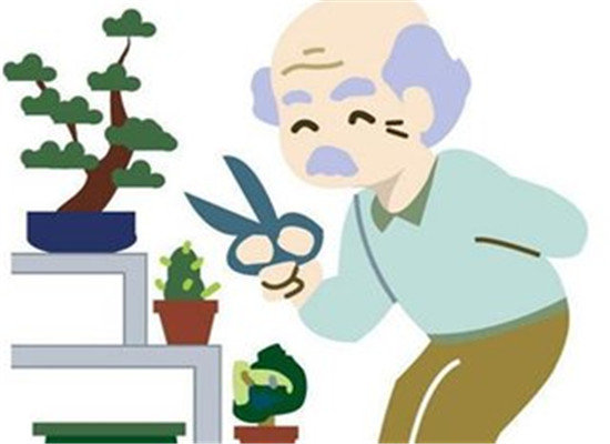 老人骨质疏松要注意什么  第2张
