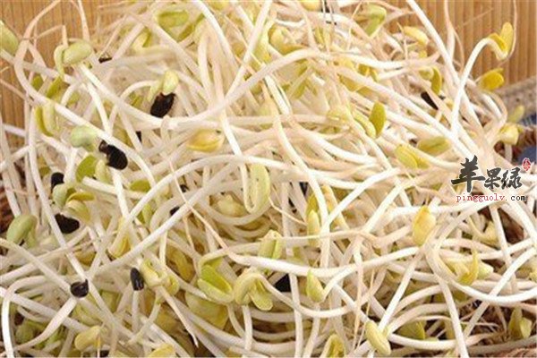 夏季吃酸梅汤绿豆芽消暑又清热  第4张