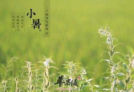 小暑节气降温防暑低碳更健康  第3张