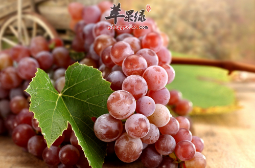 适合秋天食用的食材都有哪些  第2张